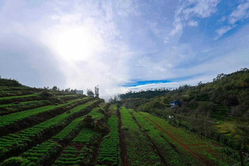 Starlight Hotels Kodai โกไดกานัล ภายนอก รูปภาพ